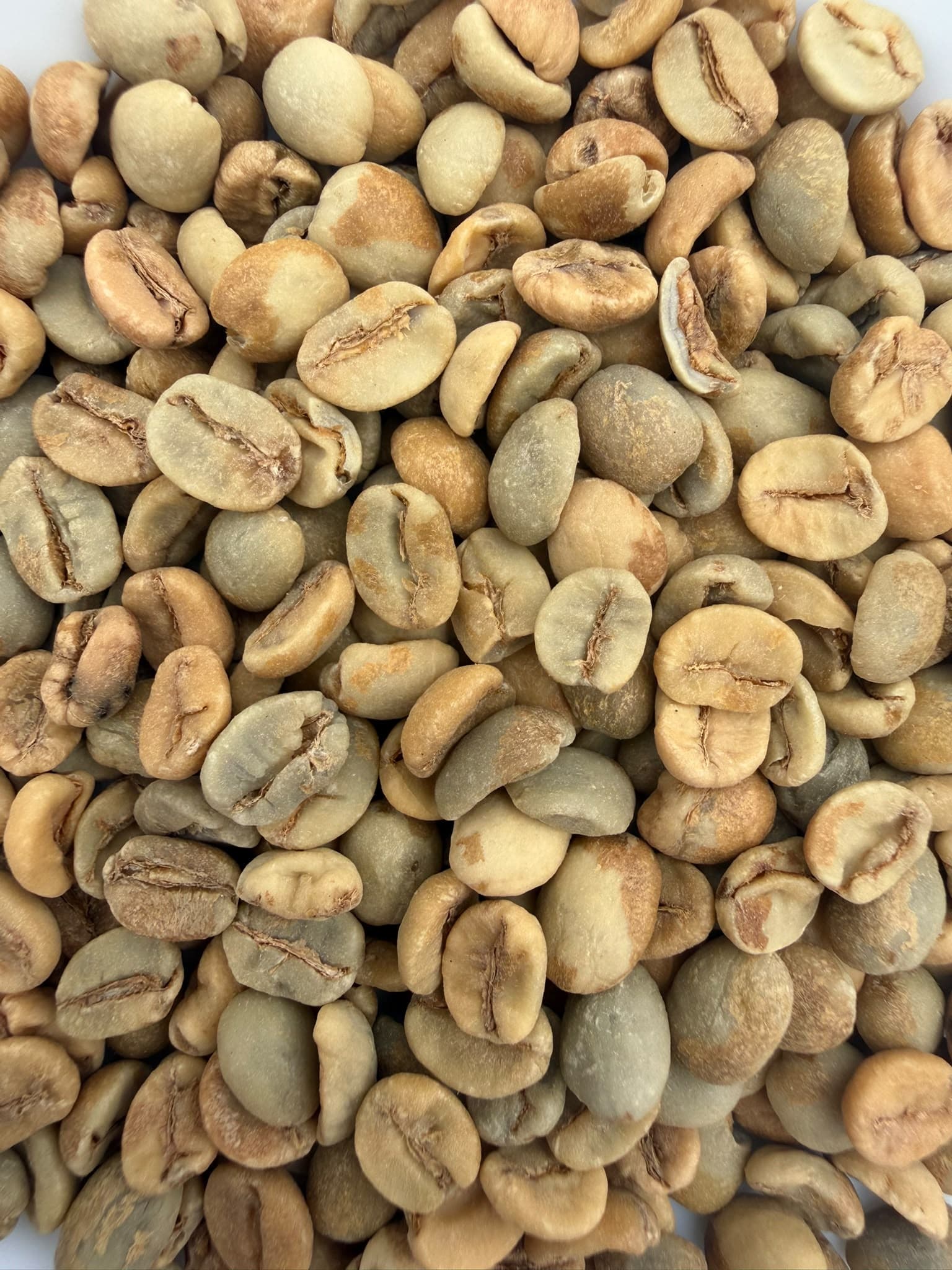 STL048/25 close up
